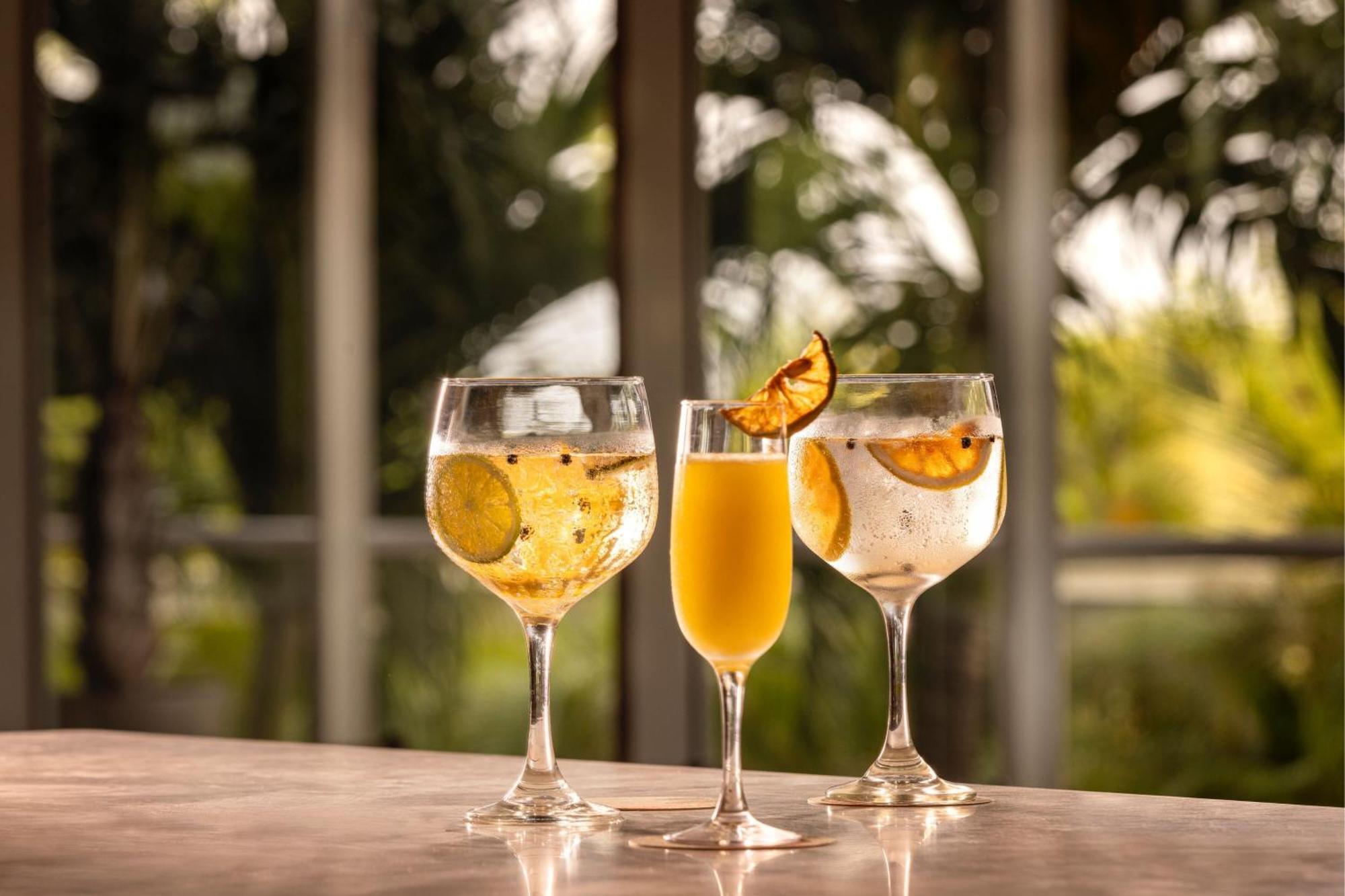 Santa Marta Marriott Resort Playa Dormida Exteriör bild Glasses of ginger beer